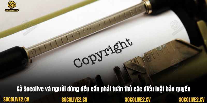 Cả Socolive và người dùng đều cần phải tuân thủ các điều luật bản quyền